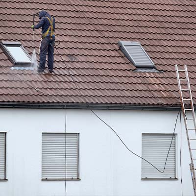 Roof Cleaners